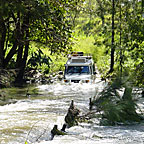 CREEK CROSSING