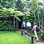 LYNC HAVEN SANCTUARY