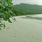 CAPE TRIBULATION BEACH