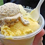 DAINTREE ICE CREAM COMPANY