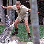 10 CROC SHOWS DAILY
