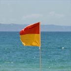 SWIM BETWEEN THE FLAGS