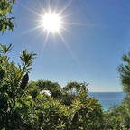PERFECT CLIMATE
