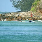 LOCAL SURF SPOTS