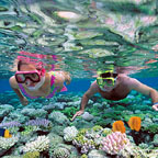 SNORKELLING ON THE REEF