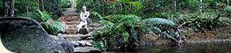 NEW! Daintree Getaway