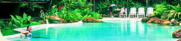 Ferntree Rainforest Resort