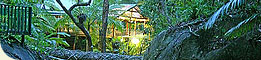 Daintree Secrets