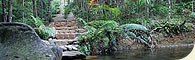 Daintree Cascades Cottage
