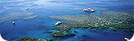 Reef & Island Hop