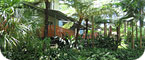 Lake Tinaroo Terraces