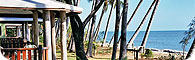 Ellis Beach Bungalows