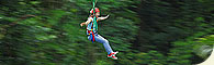 Jungle Surfing & Wildlife