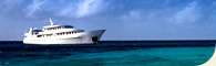 Spirit of Freedom 7 Day