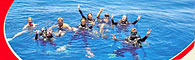 Rum Runner Cairns