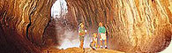 Undara Lava Lodge