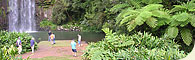 Cape Trib Connections