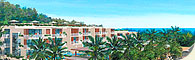 Coconut Grove