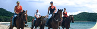 Cape Trib Horse Rides
