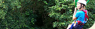 Jungle Canopy Surfing