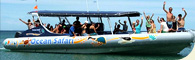 Ocean Safari