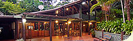 Wait-a-While in the Daintree