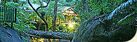 Daintree Secrets
