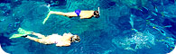 Upolu Reef & Oyster Reef