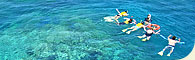 Seastar
