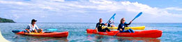 Cape Trib Paddle Trek