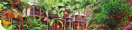 Daintree Eco Lodge & Spa