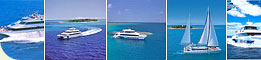 Ultimate 3 Day Reef Pass
