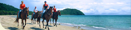 Cape Trib Horse Rides