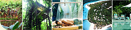Rainforest & Island Relaxation