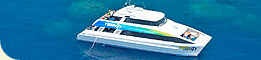 Tusa T6