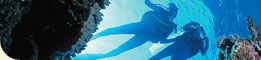 OceanQuest