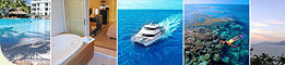 Escape To Palm Cove