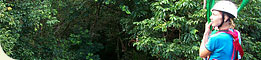 Jungle Surfing & Wildlife