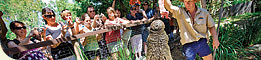 Hartley's Crocodile Adventures