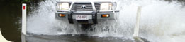 Daintree Wonder Tours