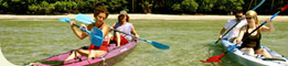 Daintree Discovery Tours