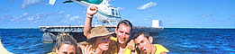 Get High Up Top & Dive Down Under
