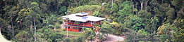Cape Tribulation Sanctuary