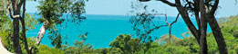 Daintree Magic