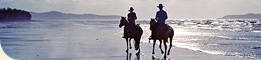 Wonga Beach Horse Rides