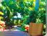 Orpheus Island Resort -