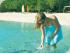 Orpheus Island Resort -