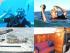 Vagabond Dive 'n Sail -