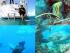 Vagabond Dive 'n Sail -