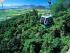 Skyrail Cableway - 
